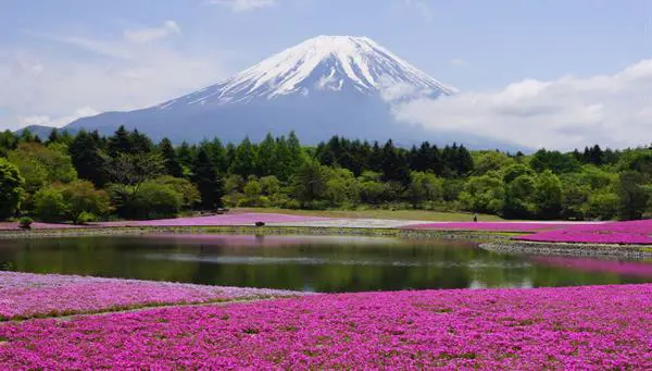 Europamundo Corea y Japon con Monte Fuji